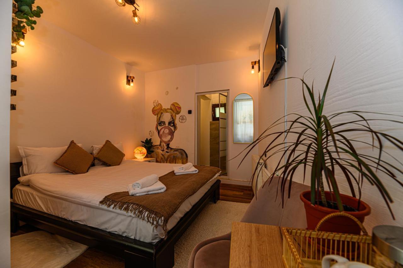 Backpacker'S Room Braşov Exterior foto